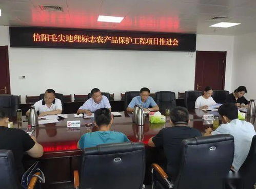 河南信陽召開毛尖地理標志保護推進會，筑牢產業發展根基